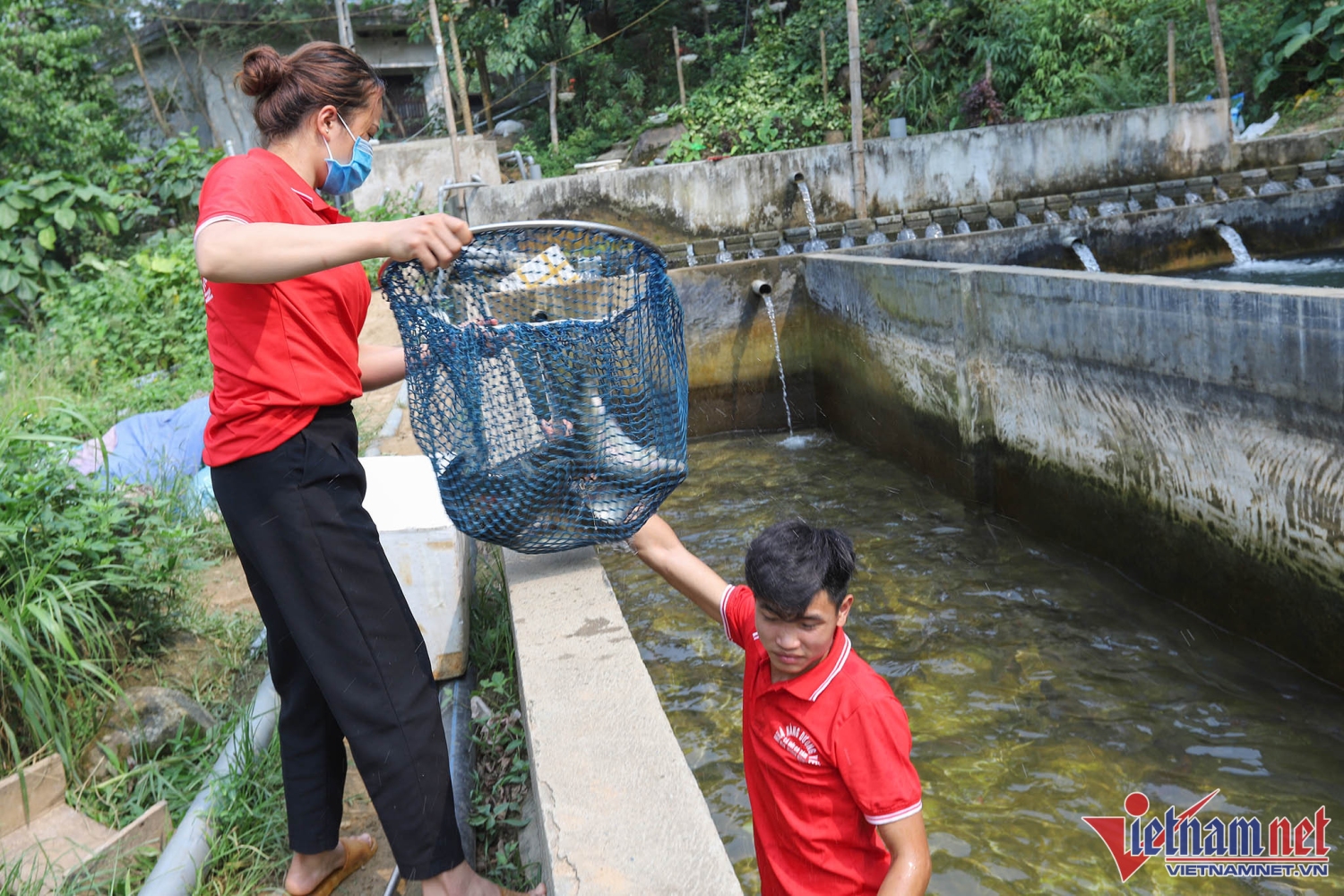 Lai Châu tăng tốc chuyển đổi số, thúc đẩy kinh tế số