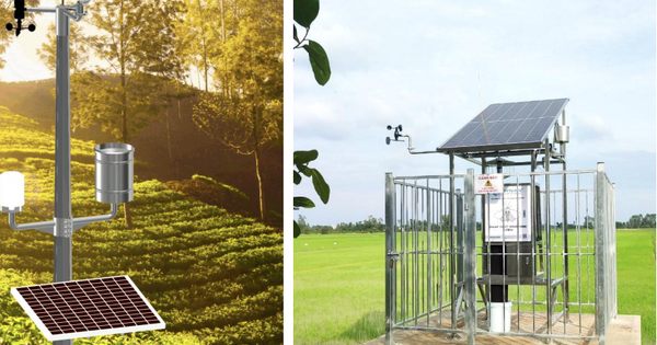 Ứng dụng công nghệ số để giảm phát thải trong trồng lúa